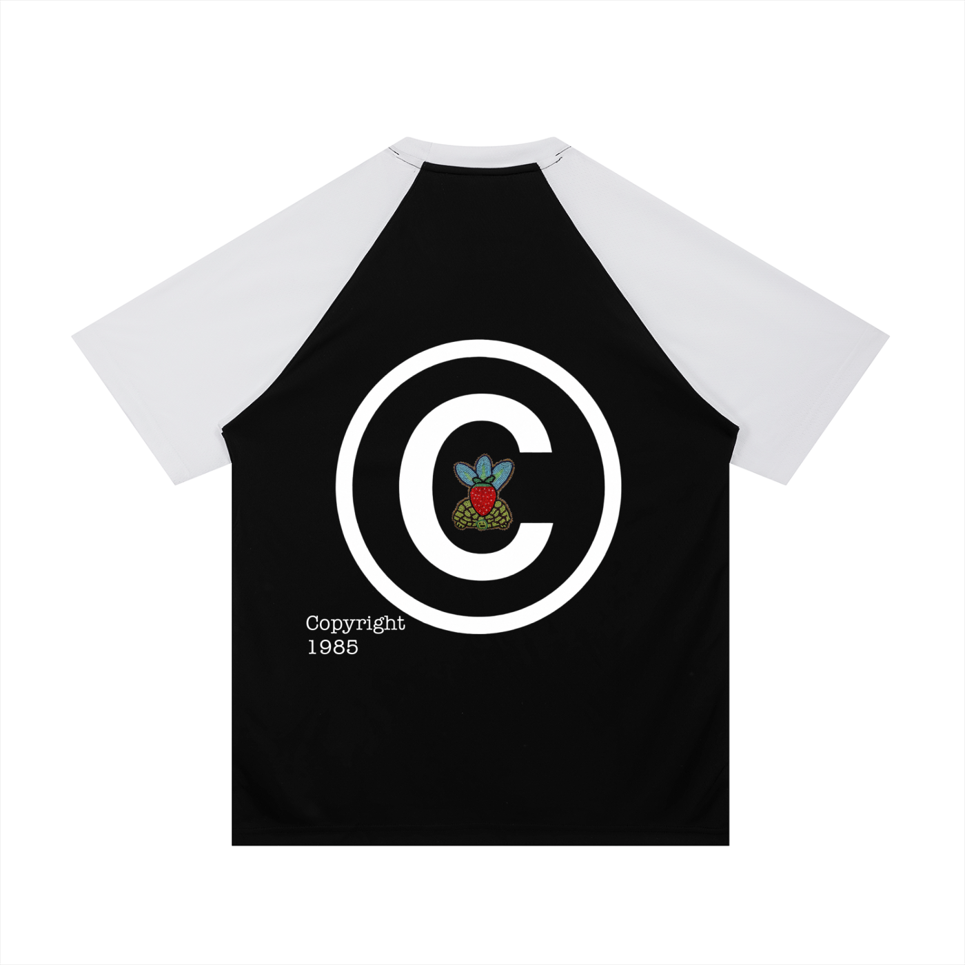 Contrast Raglan Sleeve Mesh T-Shirt