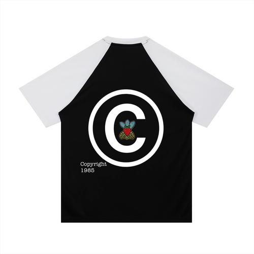 Contrast Raglan Sleeve Mesh T-Shirt