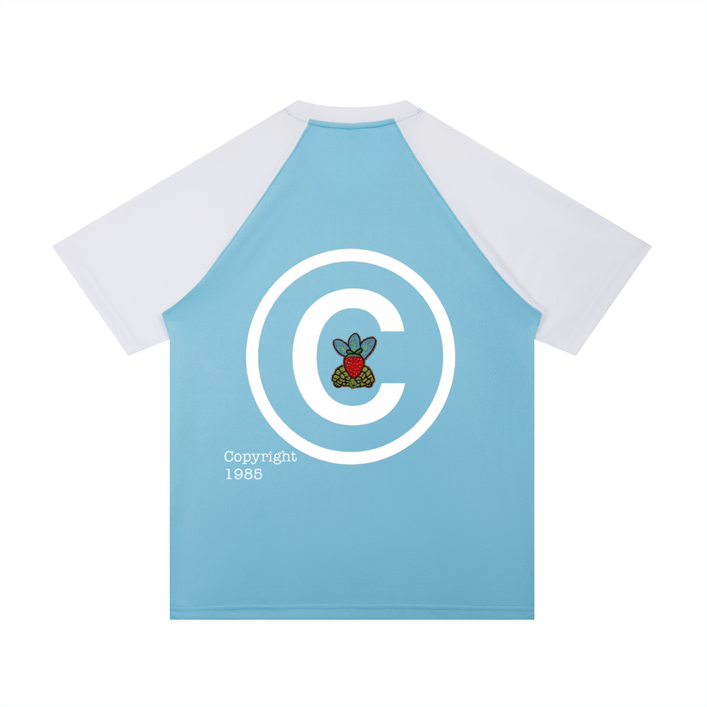 Contrast Raglan Sleeve Mesh T-Shirt