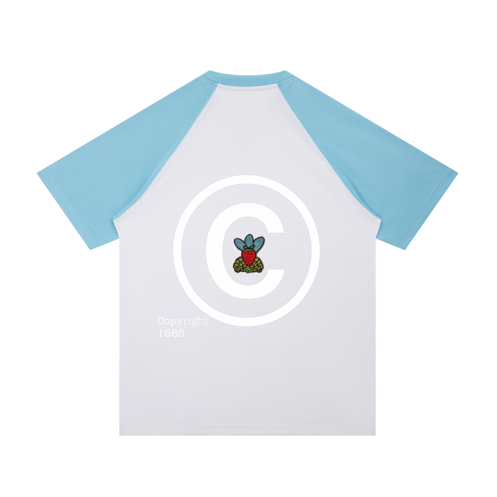 Contrast Raglan Sleeve Mesh T-Shirt
