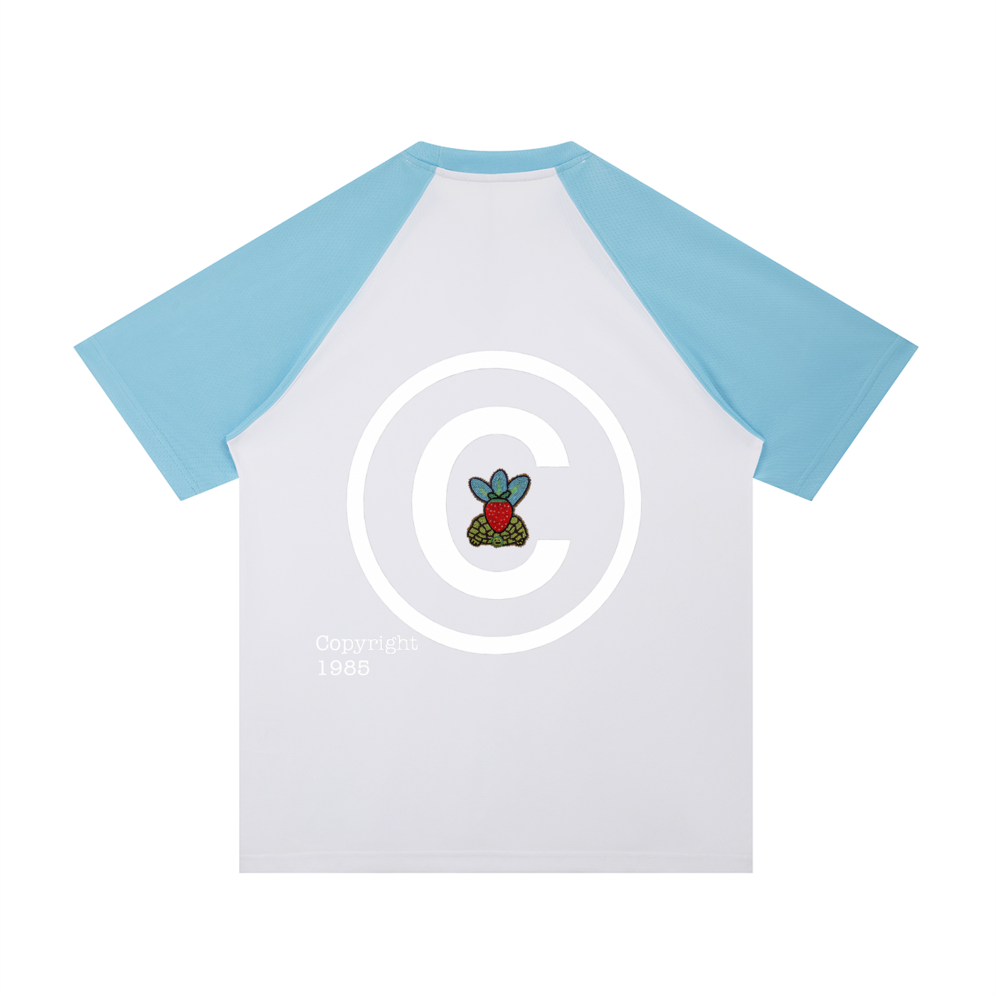 Contrast Raglan Sleeve Mesh T-Shirt